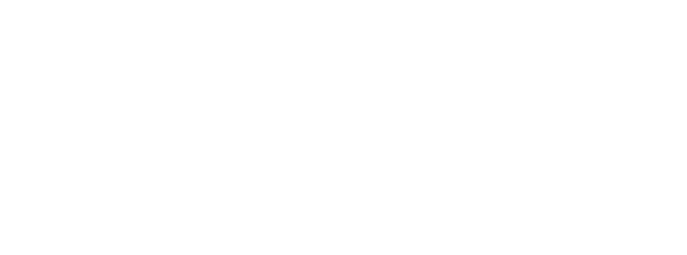 Net Zero Group