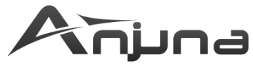 Company Logo 2