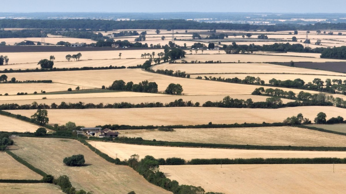 Europe’s Record-Breaking Heatwave Will Likely Be an ‘Average’ Summer In the Next 20 Years